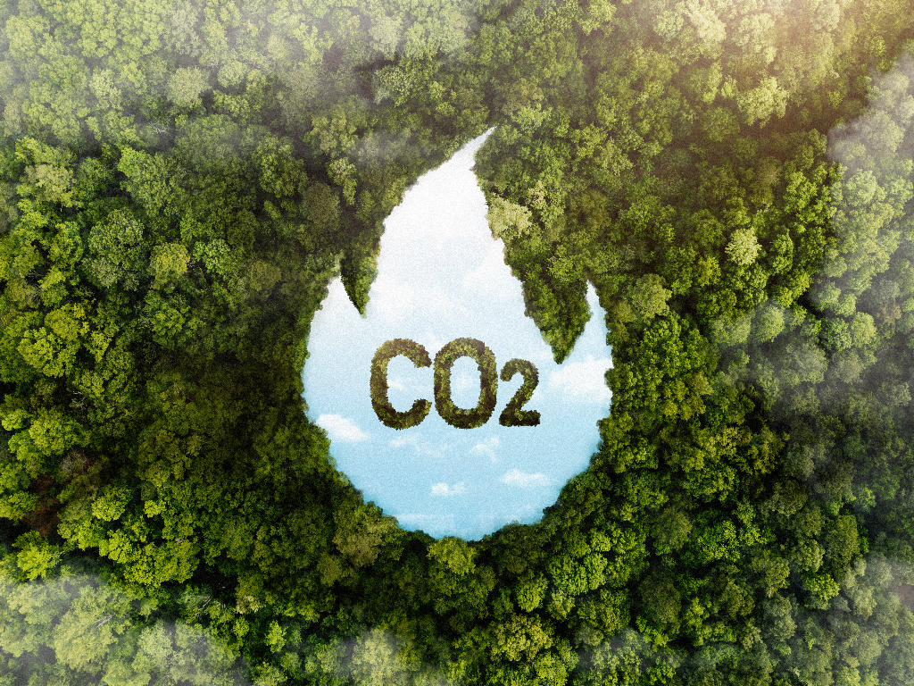 Carbon Management Index As a Tool In Assessing Land Use Practices In Sugar Growing Zones