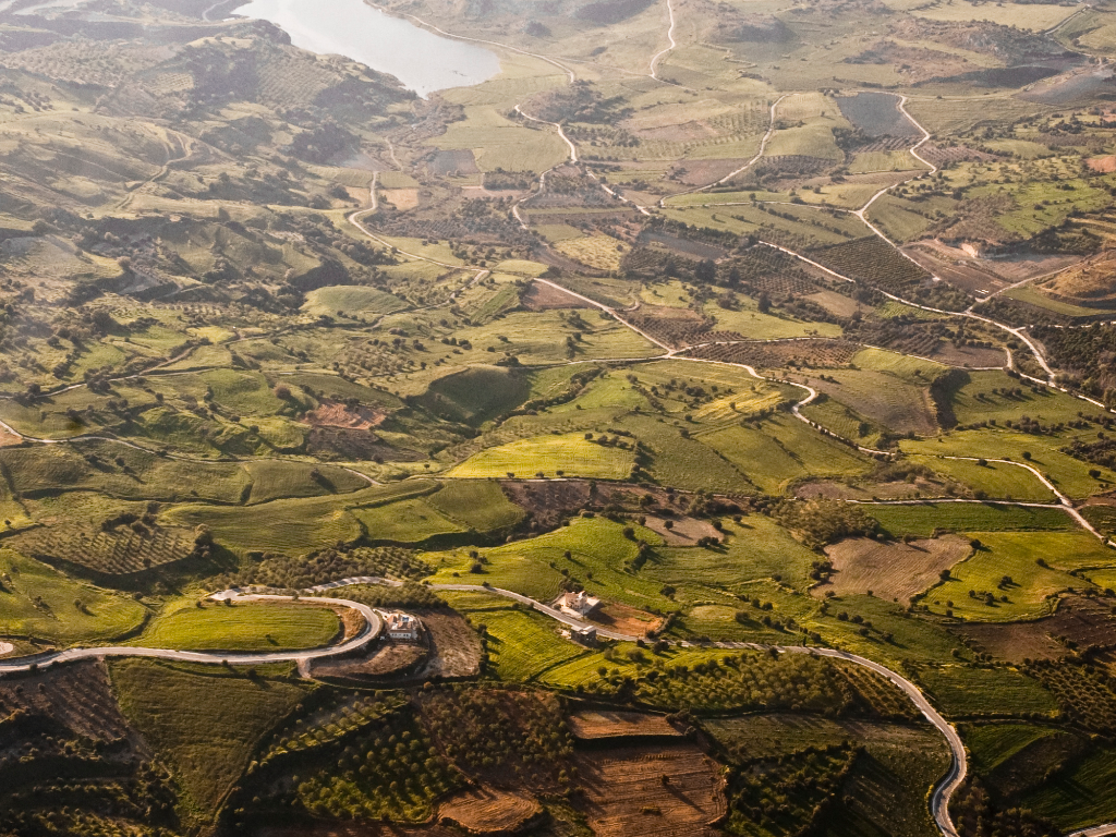 Sugarvista - Planting the Seeds of a Digital Revolution in Kenya’S Sugarcane Fields